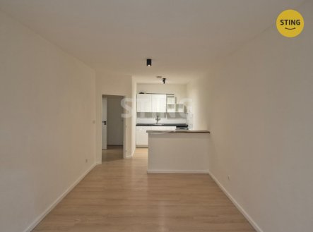 Pronájem bytu, 2+kk, 54 m²