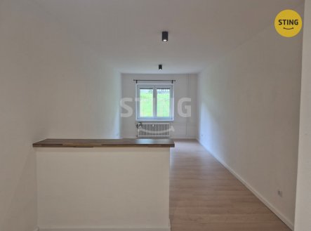 Pronájem bytu, 2+kk, 54 m²
