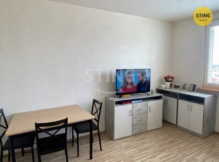 Prodej bytu, 1+kk, 22 m²