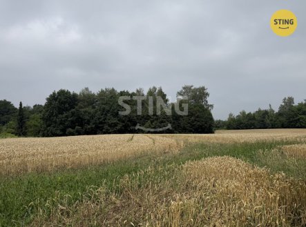 Prodej pozemku pro bydlení, 1 099 m²