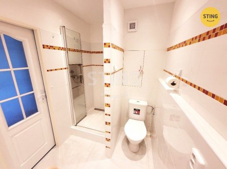 koupelna 2.jpg | Pronájem bytu, 1+1, 40 m²
