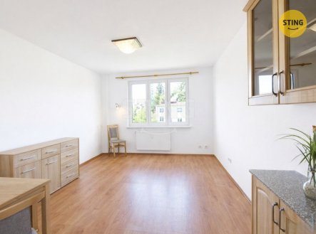 Pronájem bytu, 1+1, 37 m²