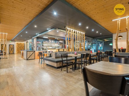 Prodej komerčního objektu, jiný, 665 m²