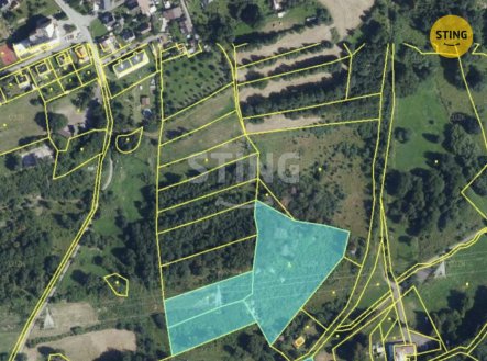 Prodej pozemku, trvalý travní porost, 12 302 m²