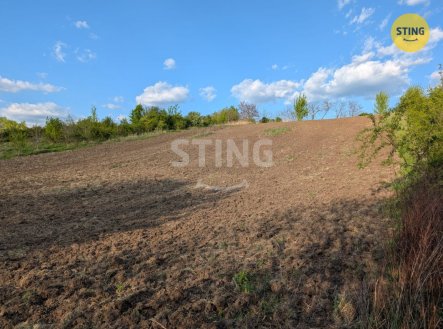 Prodej pozemku, zahrada, 4 322 m²