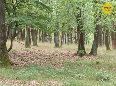 Prodej pozemku, les, 2 723 m² obrázek