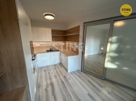 Pronájem bytu, 1+1, 50 m²