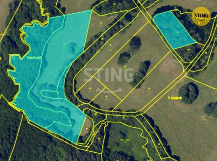 Prodej pozemku, trvalý travní porost, 20 525 m²