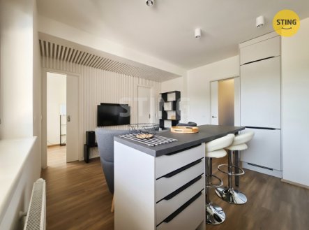 Pronájem bytu, 1+kk, 40 m²