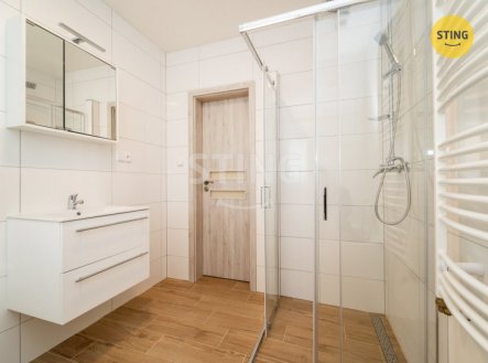 Pronájem domu/vily, 100 m²