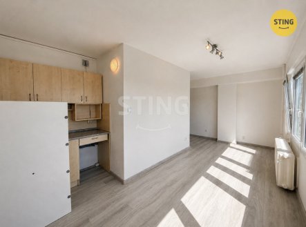 Pronájem bytu, 1+kk, 23 m²