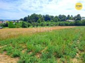 Prodej pozemku, zemědělská půda, 8 319 m²