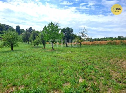 Prodej pozemku, zemědělská půda, 8 319 m²