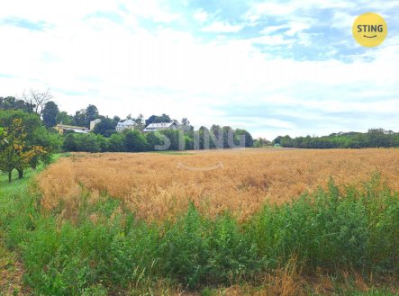 Prodej pozemku, zemědělská půda, 8 319 m²