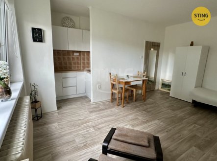 Prodej bytu, 1+kk, 25 m²