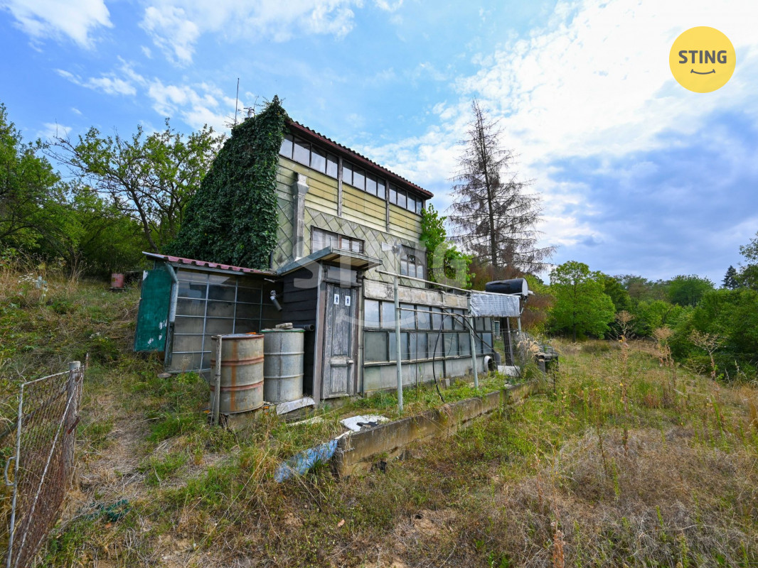 DSC_3831.JPG