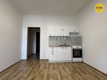 Pronájem bytu, 1+kk, 20 m²