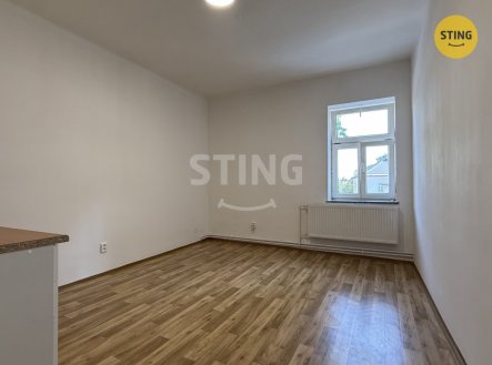 Pronájem bytu, 1+kk, 20 m²