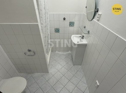 Pronájem bytu, 1+kk, 20 m²