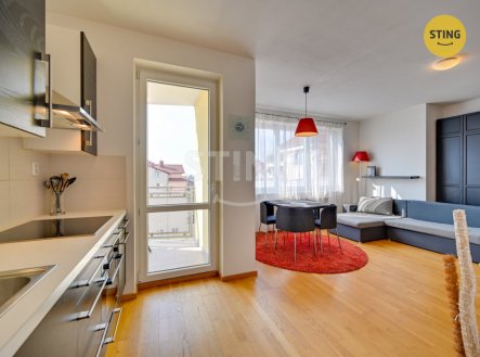 Pronájem bytu, 1+kk, 46 m²