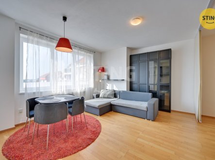 Pronájem bytu, 1+kk, 46 m²