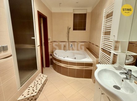Pronájem bytu, 4+kk, 100 m²