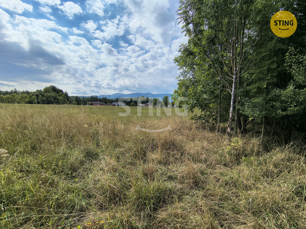 IMG_20260904_102932602_HDR.jpg