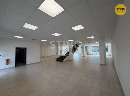 Pronájem obchodní prostory, 350 m²