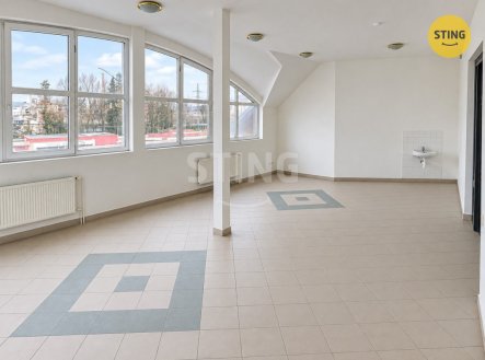 Pronájem jiné komerční nemovitosti, 452 m²