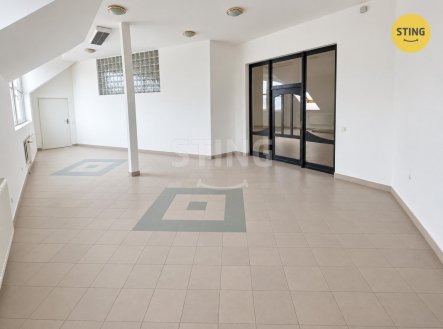 Pronájem jiné komerční nemovitosti, 452 m²