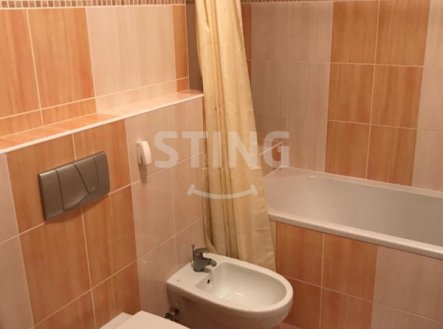 Pronájem bytu, 1+kk, 44 m²