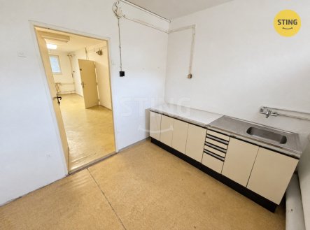 Pronájem obchodní prostory, 55 m²