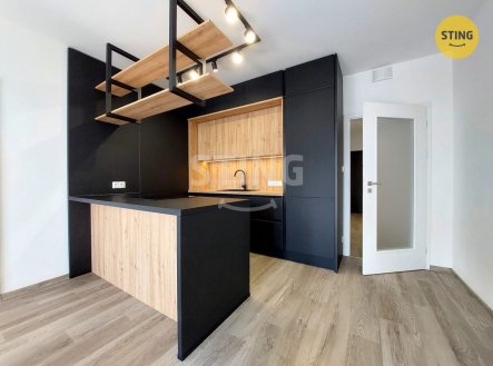 Pronájem bytu, 2+kk, 71 m²