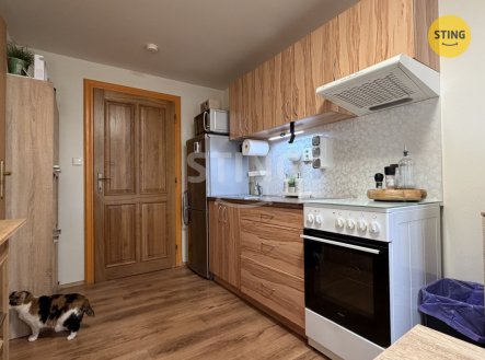 Pronájem bytu, 1+1, 30 m²