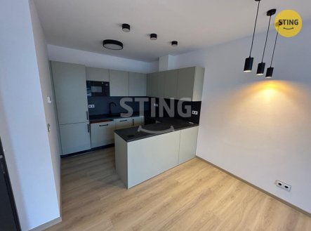 Pronájem bytu, 2+kk, 56 m²