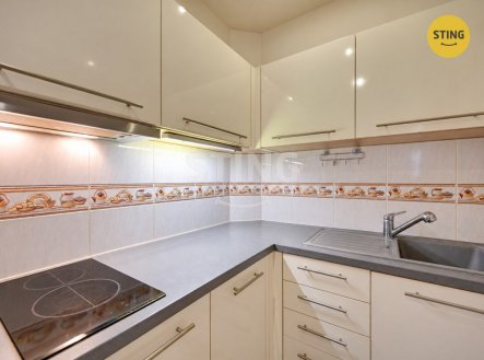 Prodej bytu, garsoniéra, 27 m²