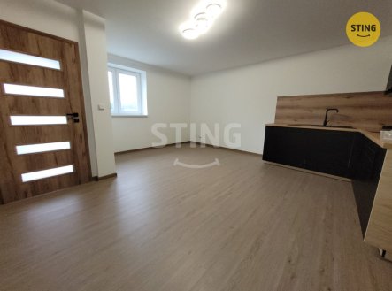 Pronájem bytu, 1+kk, 25 m²