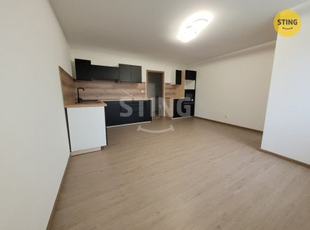 Pronájem bytu, 1+kk, 25 m²