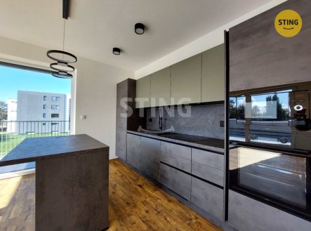 Pronájem bytu, 2+kk, 91 m²