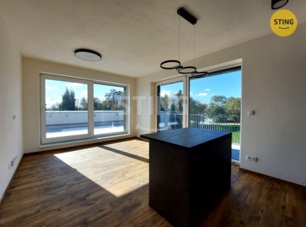 Pronájem bytu, 2+kk, 91 m²