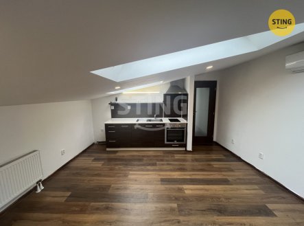 Pronájem bytu, 1+kk, 47 m²