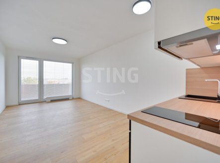 Pronájem bytu, 1+kk, 35 m²