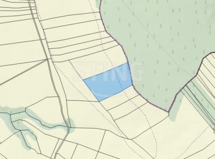 Prodej pozemku, trvalý travní porost, 11 087 m²