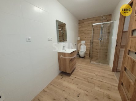Pronájem bytu, 1+kk, 30 m²