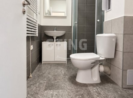 Pronájem bytu, 1+kk, 27 m²
