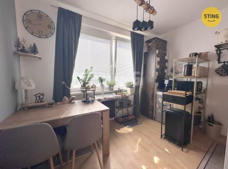 Pronájem bytu, 1+1, 31 m²