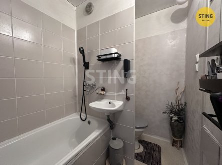 Pronájem bytu, 1+1, 31 m²