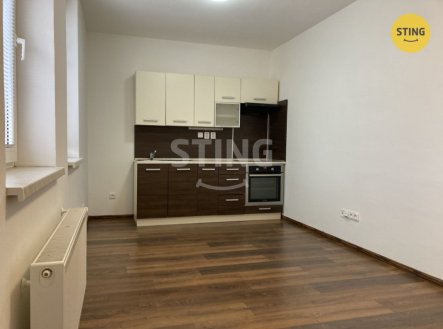 Pronájem bytu, 1+kk, 25 m²