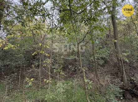 Prodej pozemku, ostatní, 10 074 m²