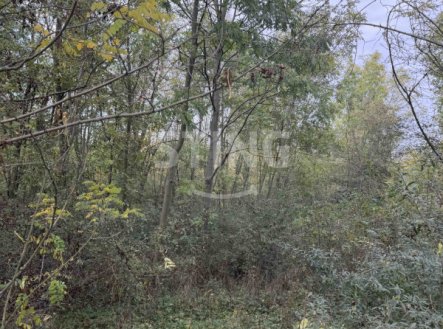 Prodej pozemku, ostatní, 10 074 m²